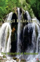 waterfall of memory v.enatescu